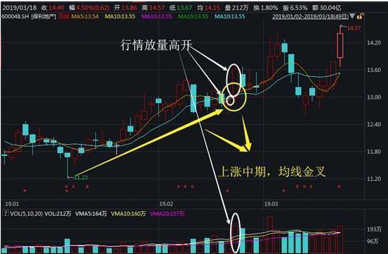 巨量高开涨停股票案例分析_股票集合竞价_集合竞价选涨停案例分析