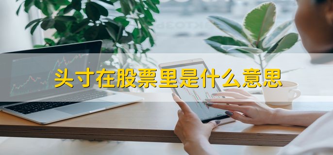 什么是现货头寸_头寸在股票里是什么意思_股票头寸分类