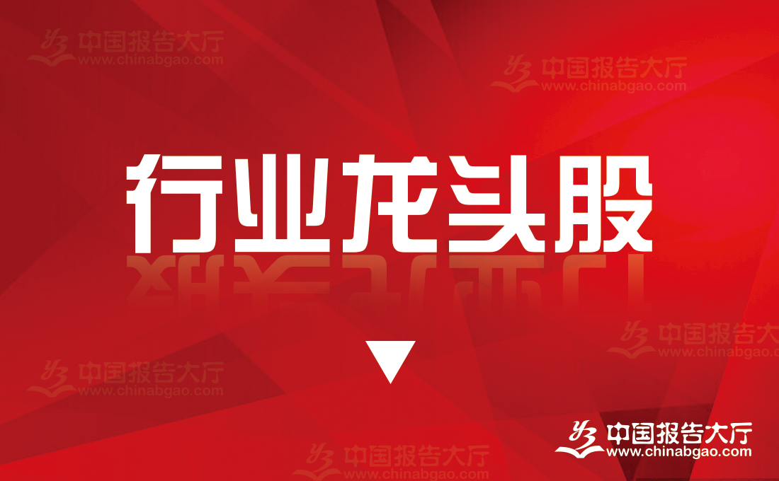 2024年安防概念龙头股一览表（安防概念龙头）