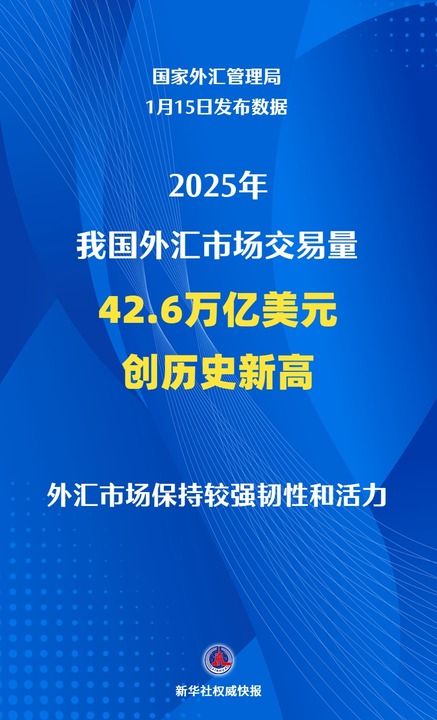 国际外汇市场最核心的主体是_中国外汇市场交易量历史新高_中国对外净资产历史新高