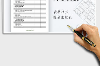 20xx年证券公司现金流量表