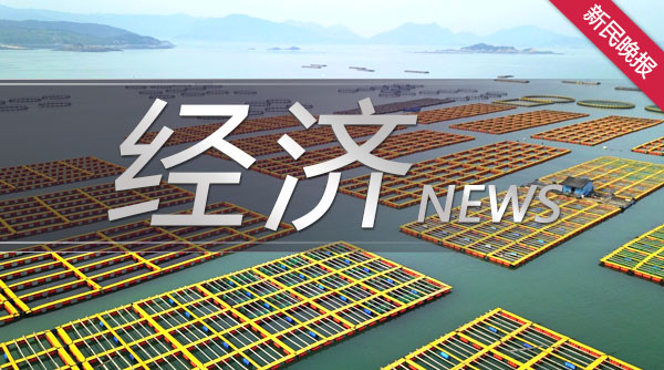 招商银行临港新片区特殊结汇案例_招行上海自贸区医疗费用结汇处理流程_招行香港一卡通结汇