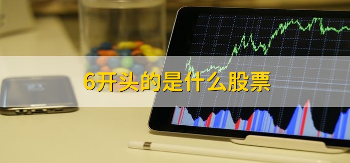 6开头的是什么股票,上交所上市的