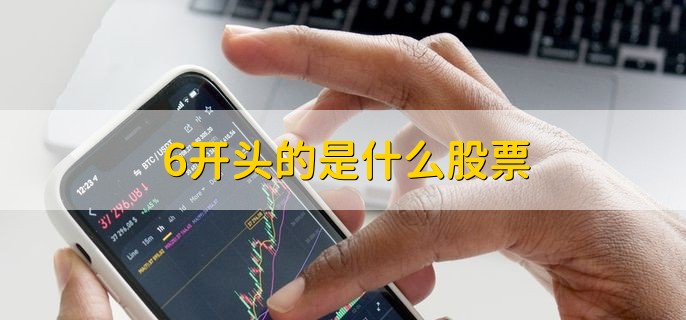 6开头的是什么股票,上交所上市的